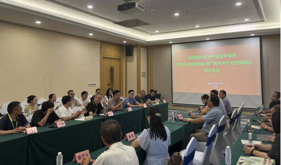 1758878869239043185.png 1758878869239043185.png