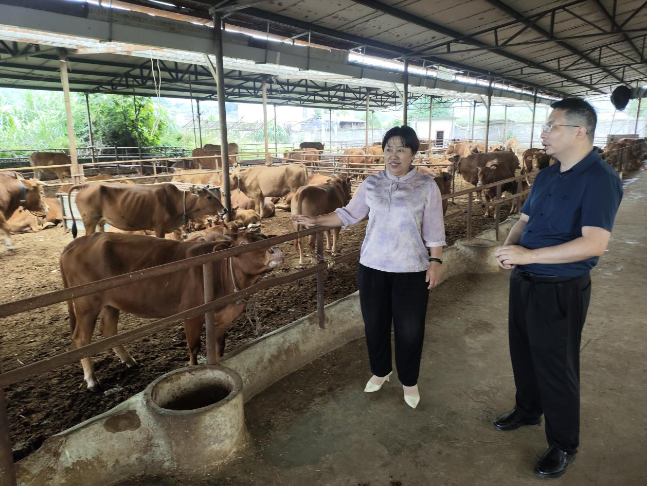 1760690379674025238.png 1760690379674025238.png