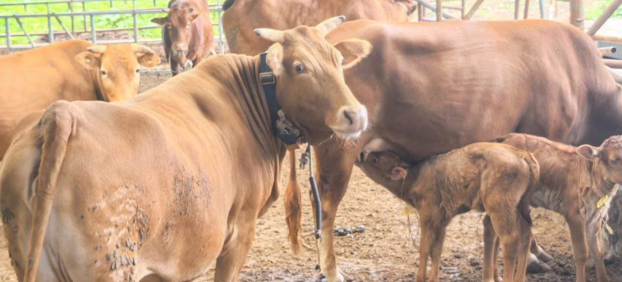 1760690602312021677.png 3.png