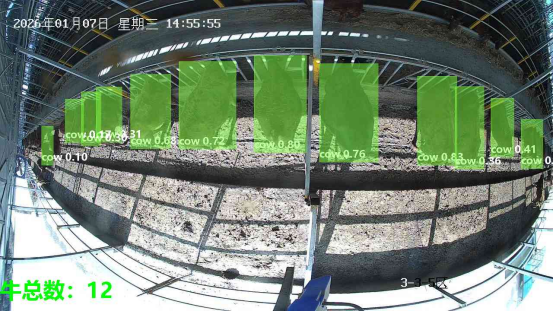 1767863298390063677.png 1767863298390063677.png