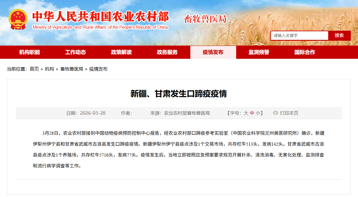 1775121733241044470.png 374b4637259715aa96f8bd441ad7d6d8.png